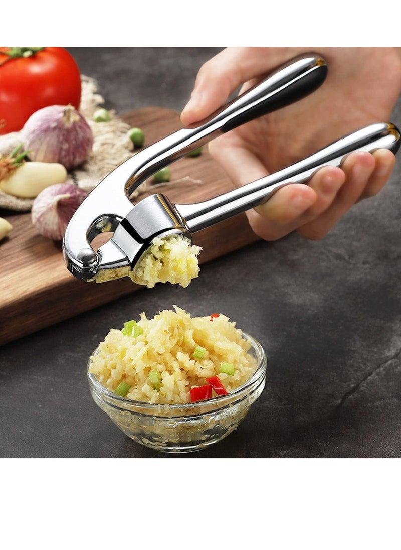Riva Zinc Alloy Garlic Press with Rod, Safe to Use, Small, Rust Resistant, Professional Design, Silver  - Image 1