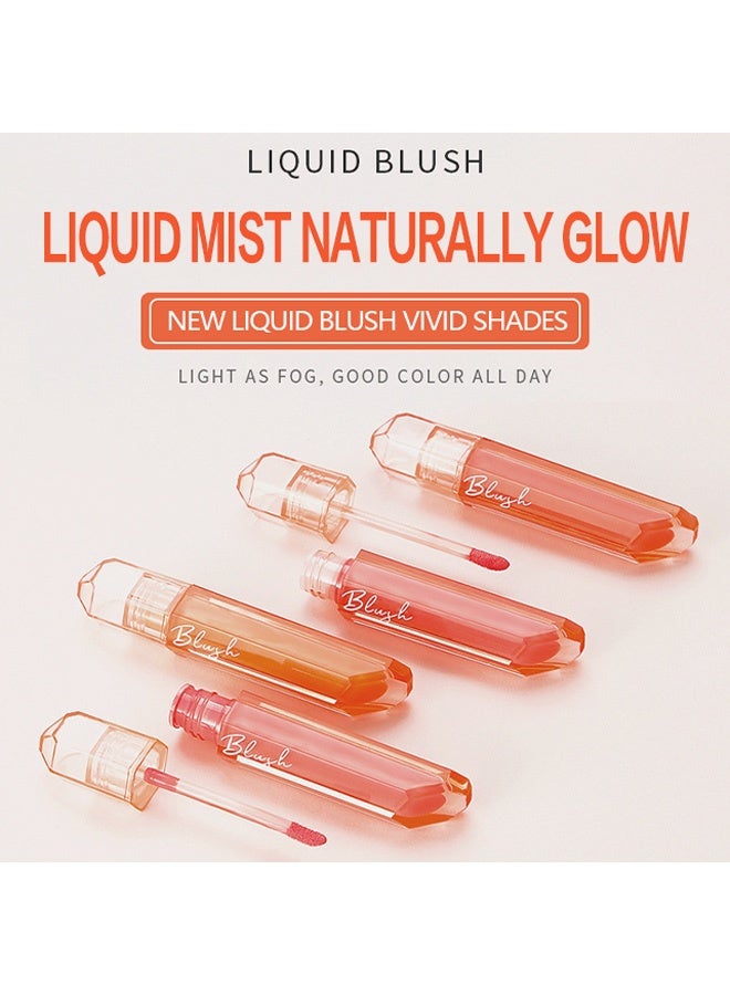 pudaier Peach Blossom Liquid Blush: Full Coverage, Your Key to Effortless, Natural Glow #02 - Image 3