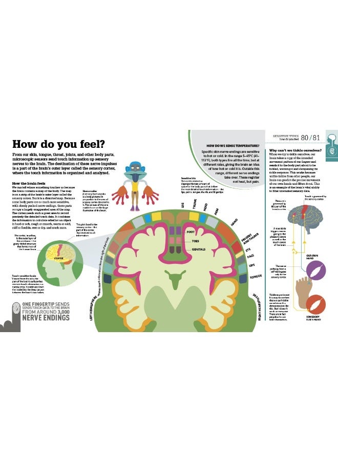 How the Body Works: The Facts Simply Explained - Image 4