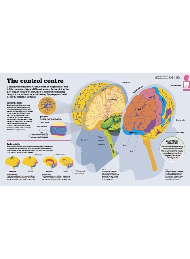 How the Body Works: The Facts Simply Explained - Image 3