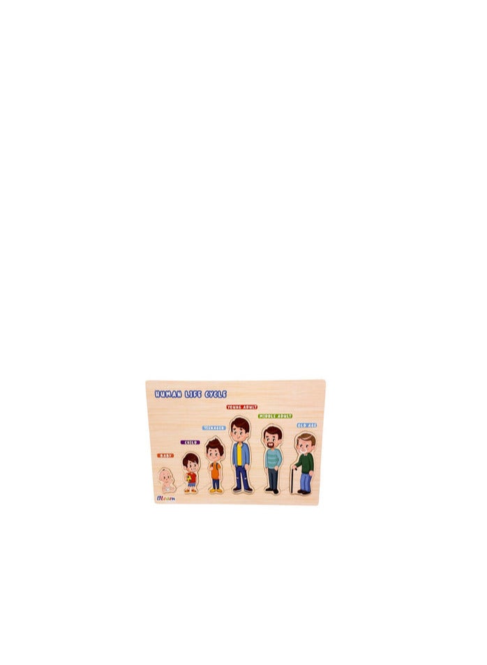 Wooden Puzzle - Human Growth  - Image 1