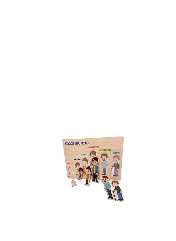 Wooden Puzzle - Human Growth  - Image 2