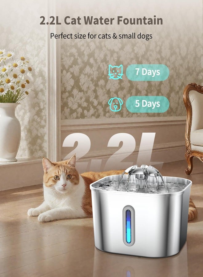 Vekonn Cat Water Fountain Stainless Steel with 4 Filters & 4 Sponges, 74oz/2.2L Cat Fountain with Quiet Pump, Automatic Pet Water Dispenser, Ideal for Multi-pet Homes, Fresh & Clean Water for Cats and Dogs - Image 2