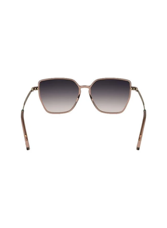 LACOSTE Modified Rectangle Sunglasses