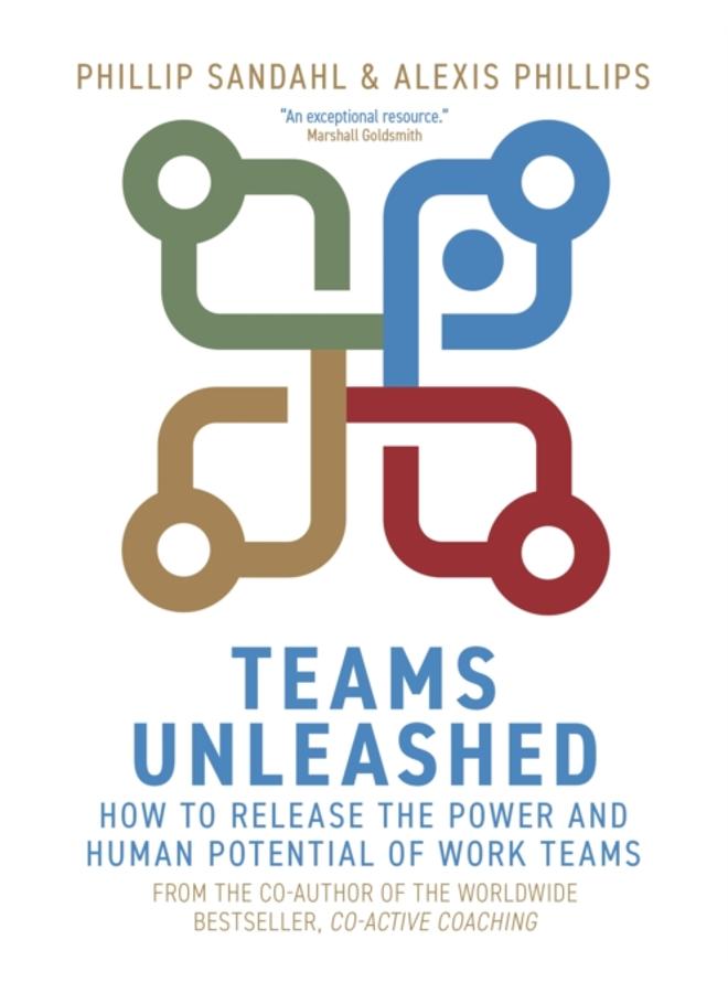 Teams Unleashed : How to Release the Power and Human Potential of Work Teams 