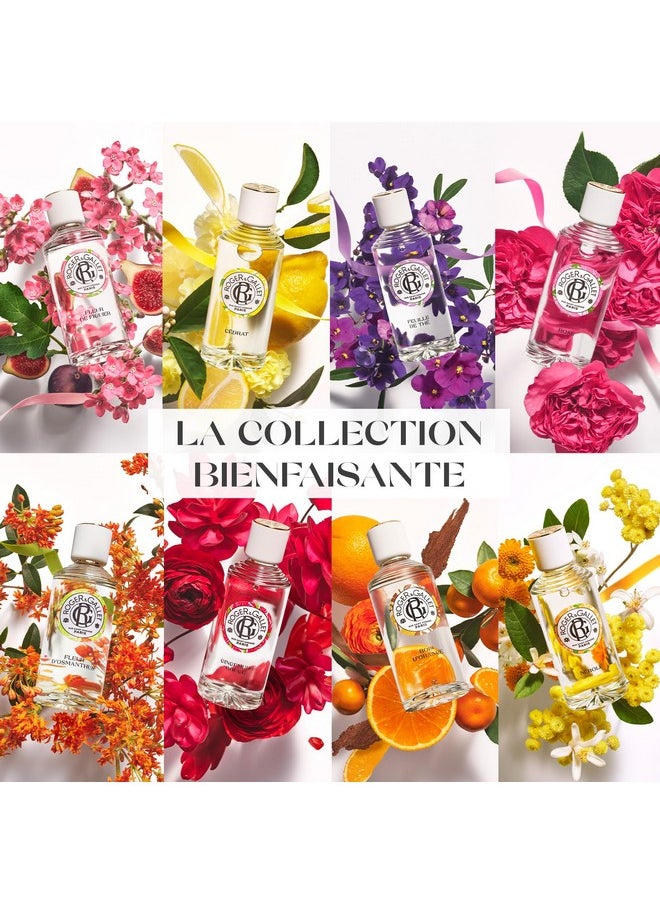 روجر أند غاليت رذاذ الجسم المائي المعطر للنساء من Cédrat Citron، 1 أونصة  - Image 5