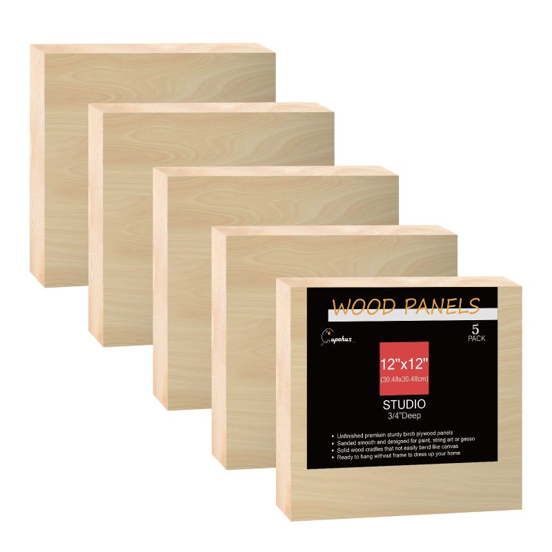 Cupohus Unfinished Birch Wood Boards Canvas for Painting 5 Packs 34 Deep Cupohus 12 x 12 Wooden Cradled Panels for Pouring Art Crfats Paints and More