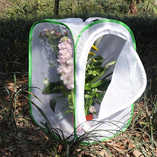 RESTCLOUD Insect and Butterfly Habitat Cage Terrarium Pop-up 24 Inches Tall with Zipper Protection - Image 4