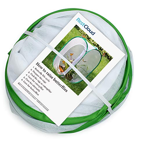 RESTCLOUD Insect and Butterfly Habitat Cage Terrarium Pop-up 24 Inches Tall with Zipper Protection - Image 5