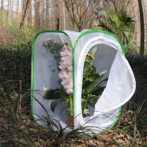 RESTCLOUD Insect and Butterfly Habitat Cage Terrarium Pop-up 24 Inches Tall with Zipper Protection - Image 3