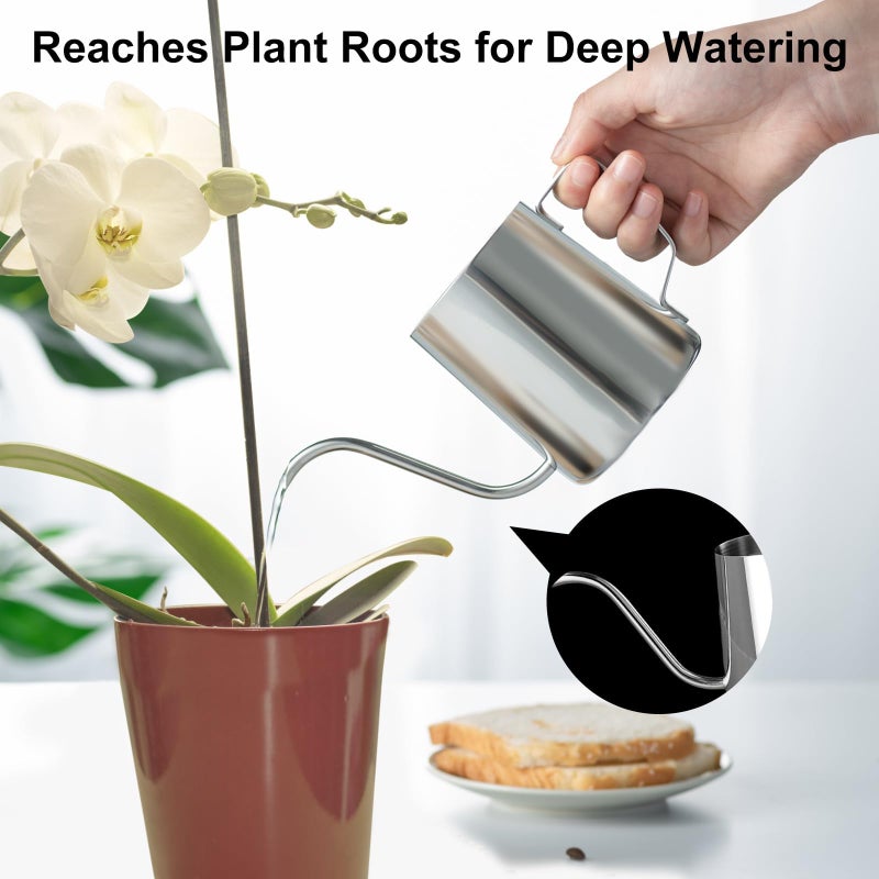 Doseno Small Watering Can for Indoor Plants, Mini Indoor Watering Can with Long Spout and Handle 12 Oz / 350 ml Rust-Proof 304 Stainless Steel Material - Image 3