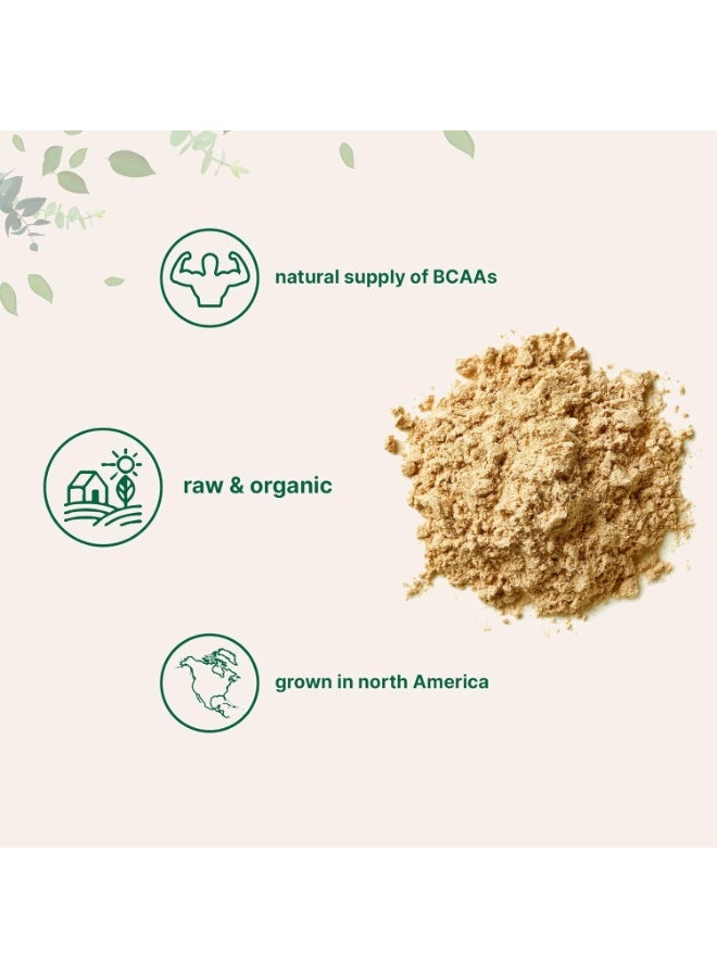 North America Grown, Organic Pea Protein Powder, 1Kg (2.2 Pounds) | Plant-Based Vegan Protein, Meatless Protein Supplement, Rich In Branched Chain Amino Acids | Non-Gmo, Soy Free