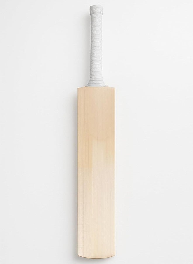 تي آر مضرب كريكيت من خشب الصفصاف الإنجليزي (الحجم: مقبض قصير، نوع الكرة: كرة جلدية، أسلوب اللعب: شامل) - Image 2