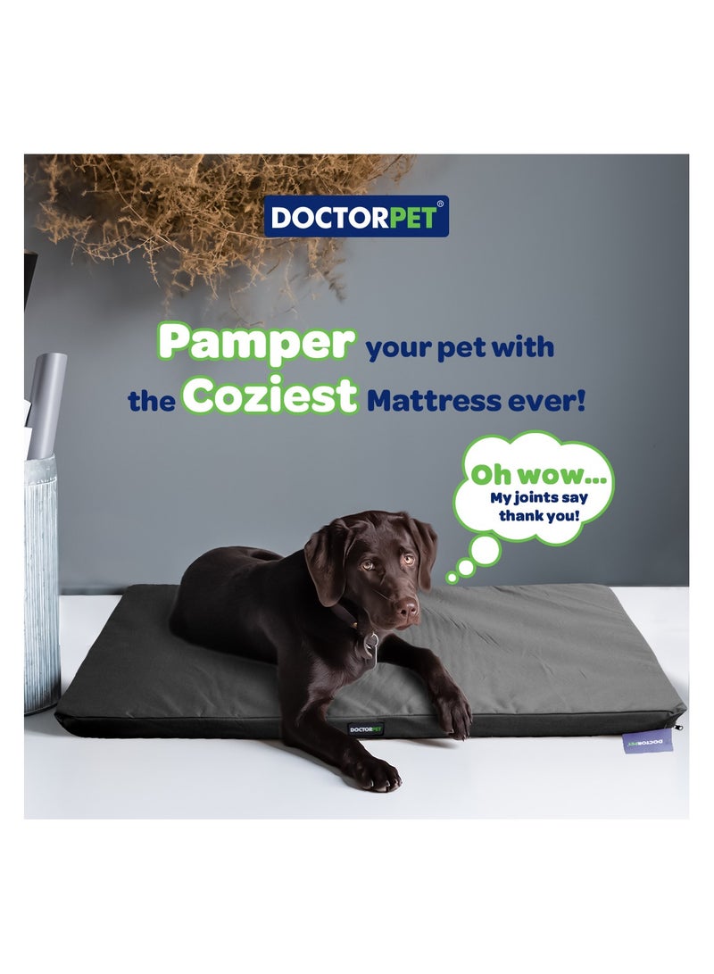 DOCTERPET Doctor Pet Gelato Series Crate Mattress Small - 46x61x6cm - Black - Soft Washable Fabric, Cooling Effect, Eco-Friendly Fill, Non-Slip Base - Ideal for Cats & Small Dogs - Image 2