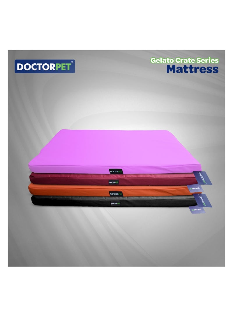 DOCTERPET Doctor Pet Gelato Series Crate Mattress Small - 46x61x6cm - Black - Soft Washable Fabric, Cooling Effect, Eco-Friendly Fill, Non-Slip Base - Ideal for Cats & Small Dogs - Image 5