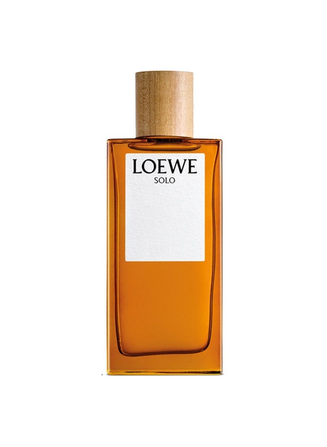 LOEWE Loewe Men's Solo EDT 100 ml - Image 2