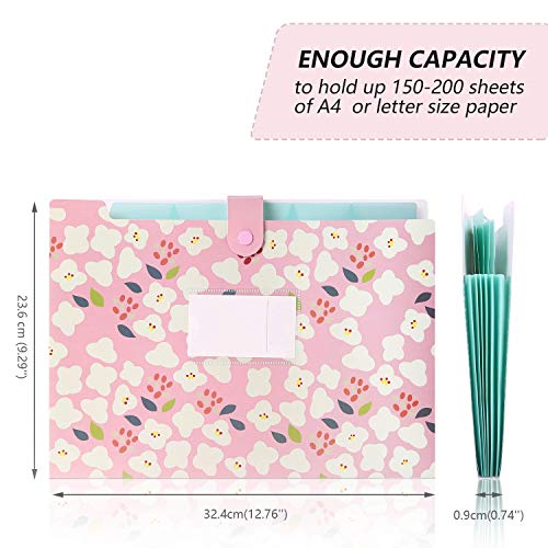 Corslet Expanding File Folder for Documents A4 Size Certificates Organizer with 5 Pockets for School and Office (Pack of 3), Multicolor - Image 2