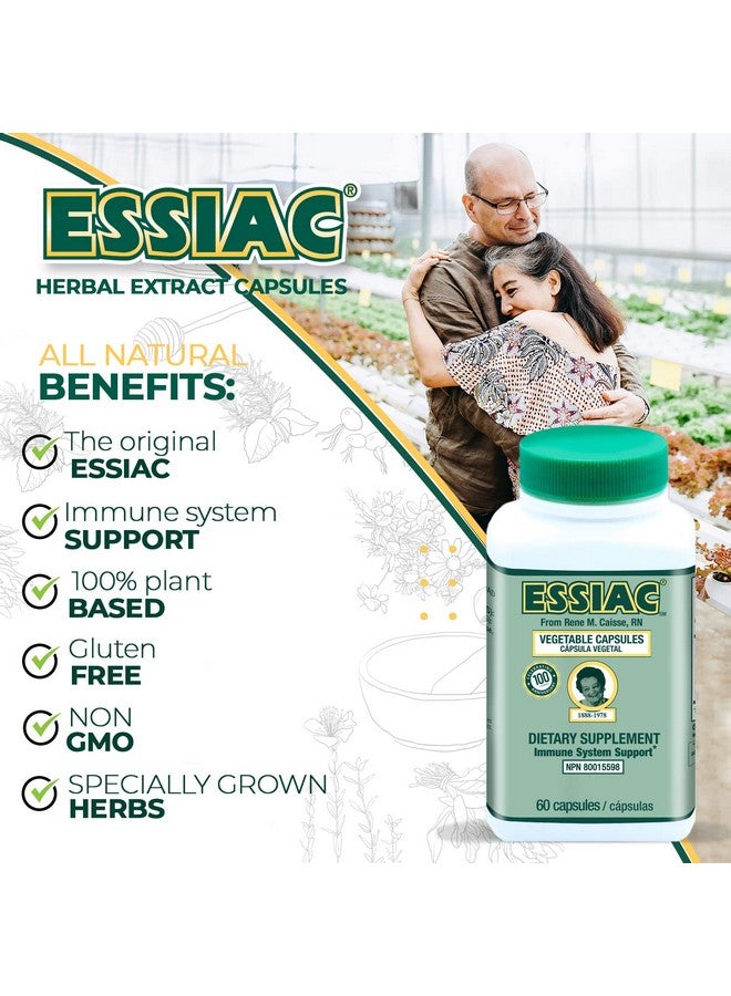 ESSIAC Tea All-Natural Herbal Extract Capsules - 60 Capsules | Powerful Antioxidant Blend to Help Promote Overall Health & Well-Being | Original Formula Since 1922 - Image 3