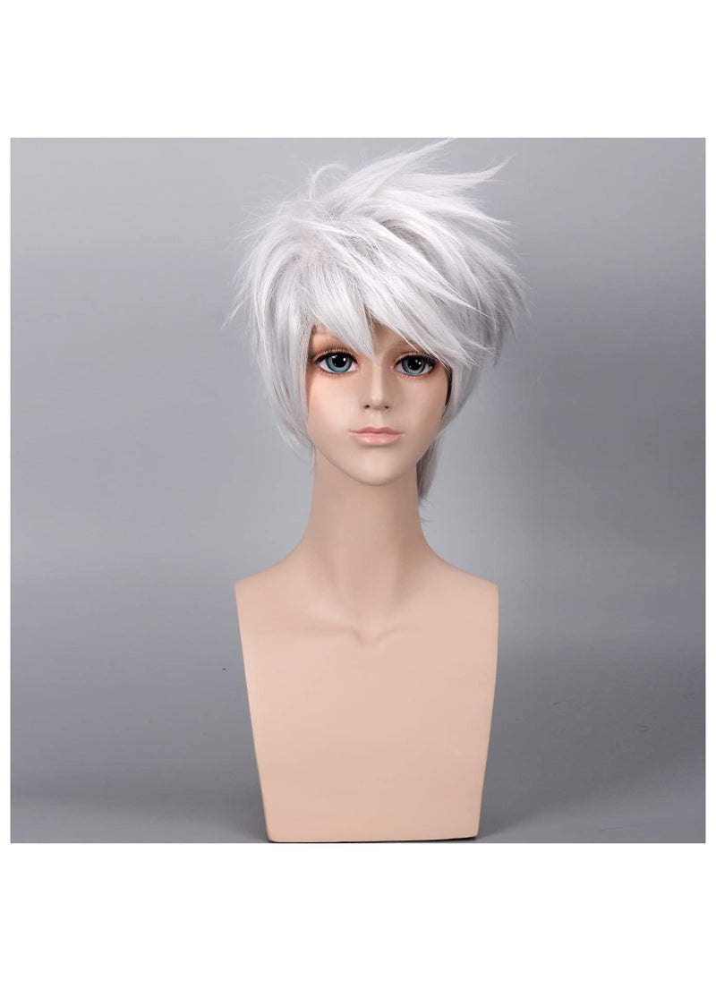 BERON BERON Short Layered Cool Men Boys Tousled Wig Heat Resistant Synthetic Wigs for Anime Cosplay Party Silver Grey 