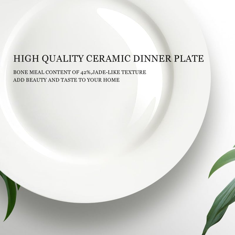 IQCWOOD Ceramic White Dinner Plates Set of 6 105 Inch Round Plates for Pizza Salad Pasta Appetizer Steak Porcelain Serving Dishes Restaurant Dishes Salad Plates Scratch Resistant - Image 3