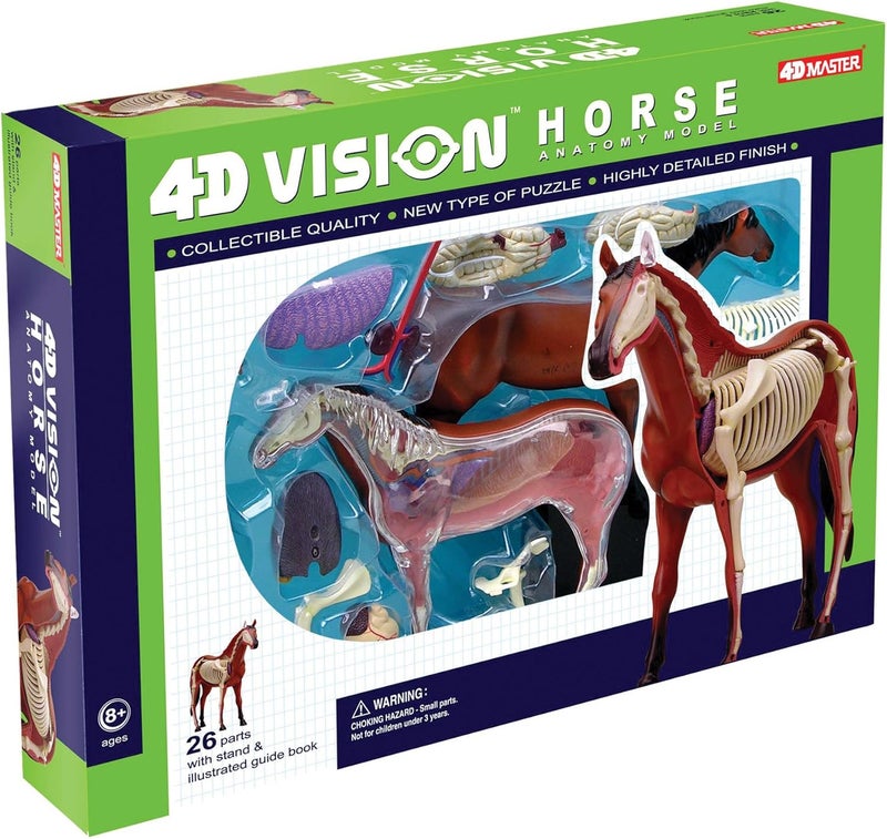 Tedco 4D Vision Horse Anatomy Model with 25 Detachable Organs and Illustrated Guide - Image 2