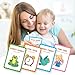WELL BALANCED Speech Therapy Toys Materials for Toddlers 13 34 - Image 3