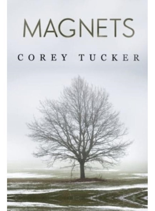 Magnets - Paperback