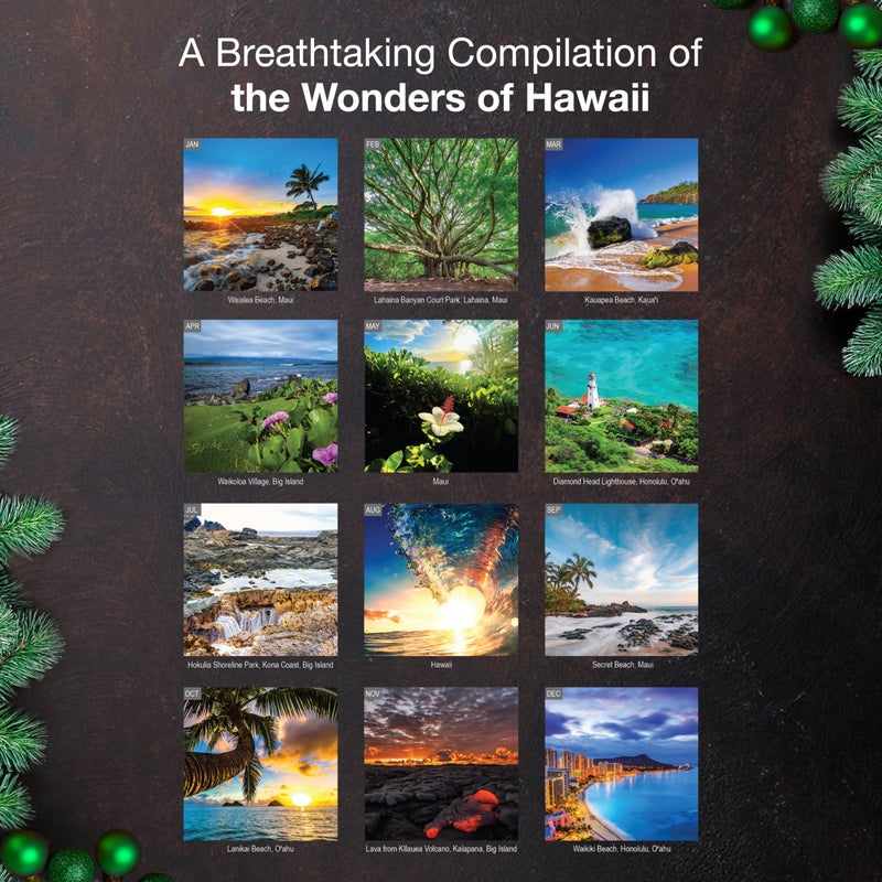 MICASA PRESS Wild & Beautiful Hawaii 2026 Wall Calendar 12 Month | 12" x 24" Open | Thick & Sturdy Paper | Holiday Gift | Tropical Island Travel Calendar 2026 - Image 3