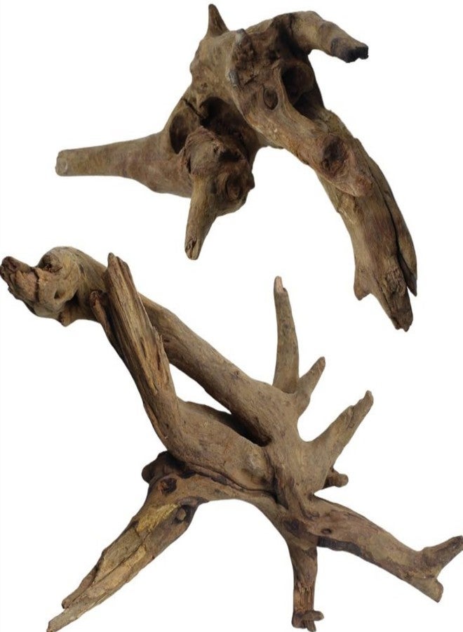 DoubleWood Driftwood for Aquarium Decor, Fish Tank Decor, 2 Pcs Reptile Branches, Drift Wood for Fishtank, Aquarium Hardscape, Betta Fish Decor, Reptiles Driftwood Branch (Driftwood 7.8-11.8 Inch (Pack of 2)) - Image 1