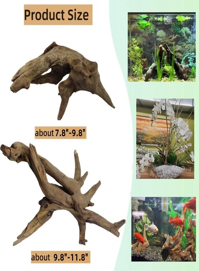 DoubleWood Driftwood for Aquarium Decor, Fish Tank Decor, 2 Pcs Reptile Branches, Drift Wood for Fishtank, Aquarium Hardscape, Betta Fish Decor, Reptiles Driftwood Branch (Driftwood 7.8-11.8 Inch (Pack of 2)) - Image 2