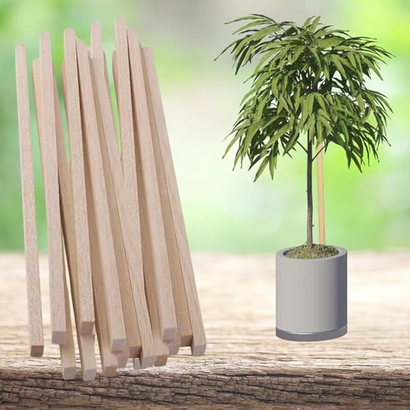 Timberz عصي خشبية | عصي خشب الصنوبر | 12 قطعة من عصي الحرف الفنية الخشبية - Image 5