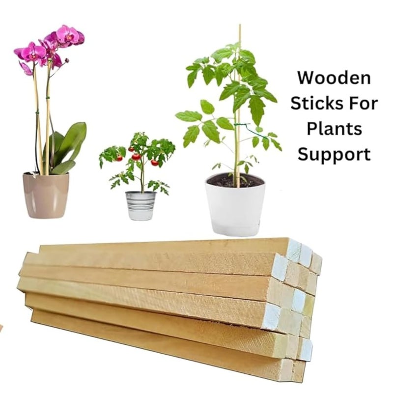 Timberz عصي خشبية | عصي خشب الصنوبر | 12 قطعة من عصي الحرف الفنية الخشبية - Image 2