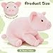 BENINY 5 Pcs Pig Stuffed Animal Plush Pink Mommy 16 with 4 Little Piggy in Her Zippered Tummy Cute Plushie Toy Gift for Girls and Kids - Image 4