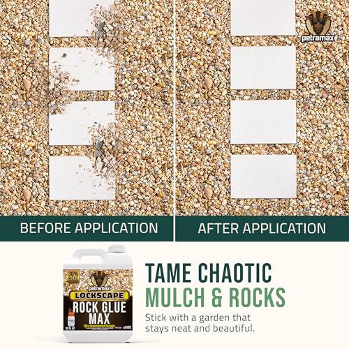 Petra غراء بيترا ماكس للصخور لتنسيق الحدائق، 32 أونصة - غراء آمن للحيوانات الأليفة لتغطية الأرضيات والصخور - تثبيت الحصى/الحصى/الحجارة - لاصق حصى شفاف ومثبت جرانيت متحلل (50 قدم مربع) - Image 2
