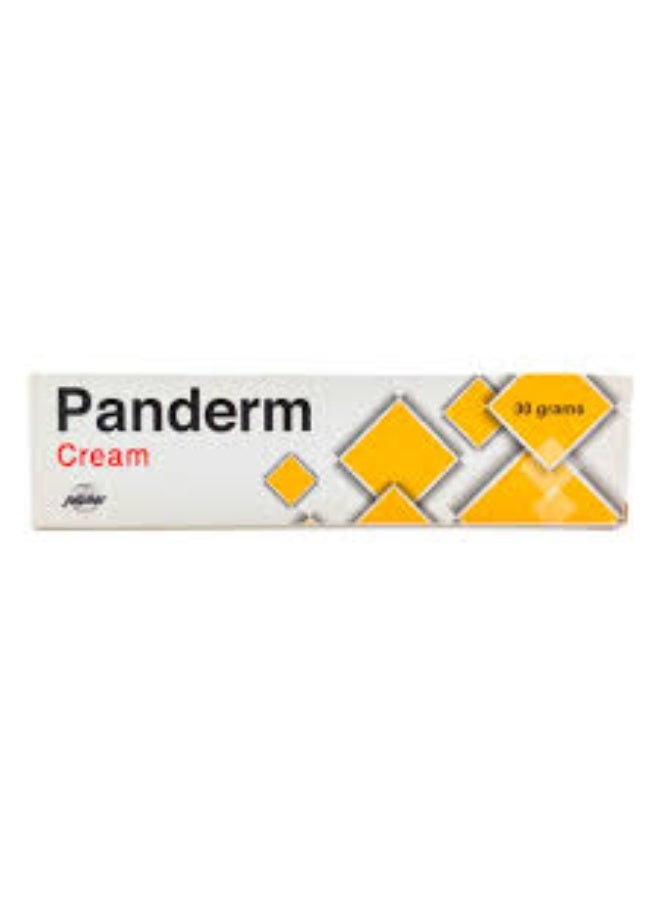 Panderm Ointment 30 g