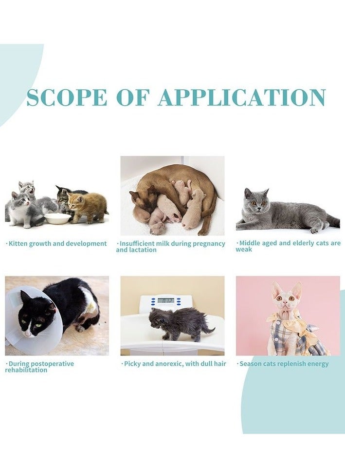 بايولاين جل المكملات الغذائية للقطط 100 جرام - Image 2