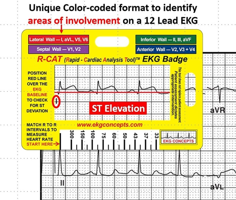 R-Cat شعار R-CAT EKG - Image 5