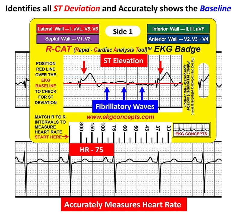 R-Cat شعار R-CAT EKG - Image 3