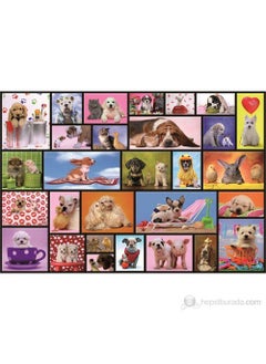 EDUCA 1000 Piece Puzzle Shared Moments 