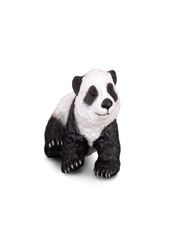 CollectA Giant Panda Cub (Sitting) Figure