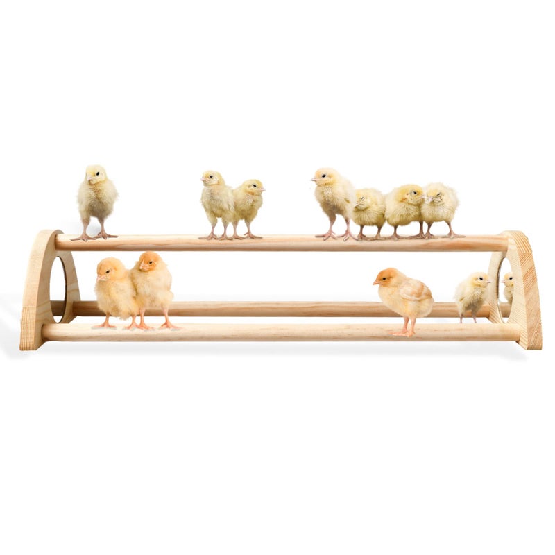 TonGass 16" Extra Long Chicken Perch - Freestanding Roosting Bar for Baby Chicks with Built-in Mirrors for Entertainment - Durable Polished Bamboo Roosting Bar - 15 3/4 x 6 5/8 x 3 1/2" - Image 1