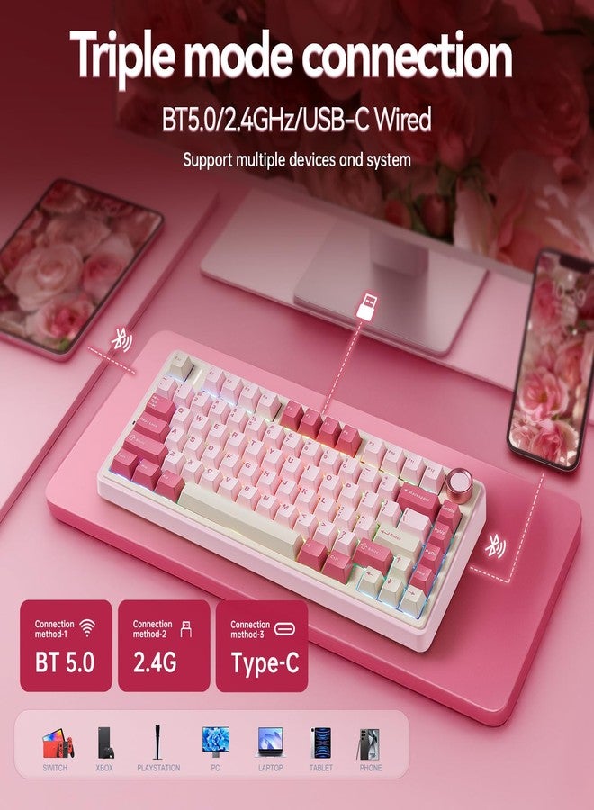 AULA F75 Wireless Keyboard, 75% Gaming Keyboard Hot Swappable with Creamy Sound,Bluetooth/2.4GHz/USB-C,Custom RGB Mechanical Keyboard for PC Gamer - Pink - Image 3