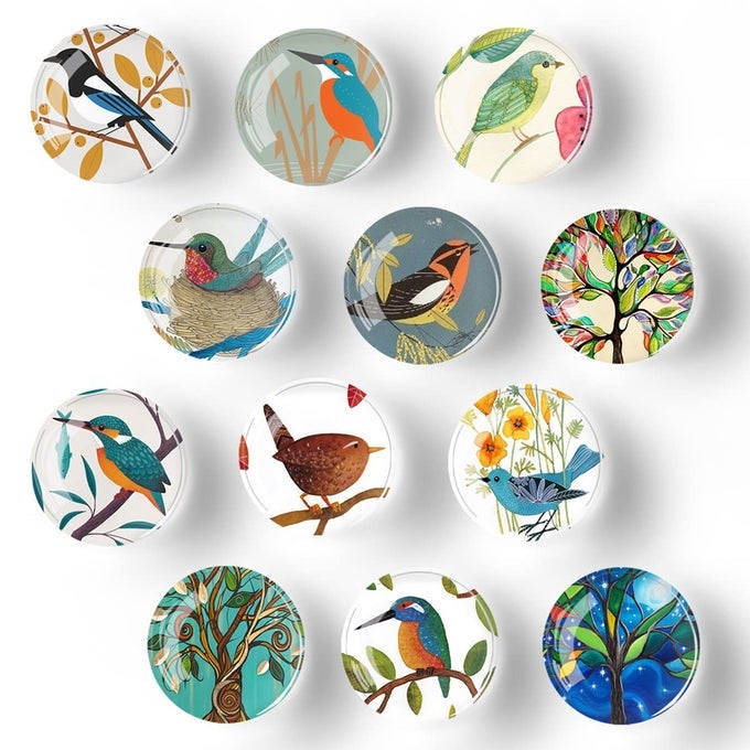 12 PCS STRONG GLASS REFRIGERATOR MAGNETS PATTERN SERIES FOR WHITEBOARD OFFICE CABINETS ROUND FRIDGE STICKERS HOME KITCHEN DECOR BIRD