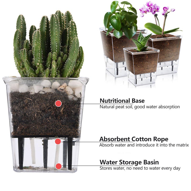 IWNTWY Self Watering Pots Set, 3 Pack 5/4.1/2.7 Inch Self Watering Pot for Indoor Plants, Clear Flowers Pot Planter with Deep Reservoir for Spider Plant, Orchid, African Violet - Image 4