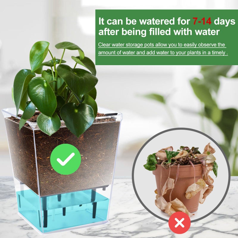 IWNTWY Self Watering Pots Set, 3 Pack 5/4.1/2.7 Inch Self Watering Pot for Indoor Plants, Clear Flowers Pot Planter with Deep Reservoir for Spider Plant, Orchid, African Violet - Image 5