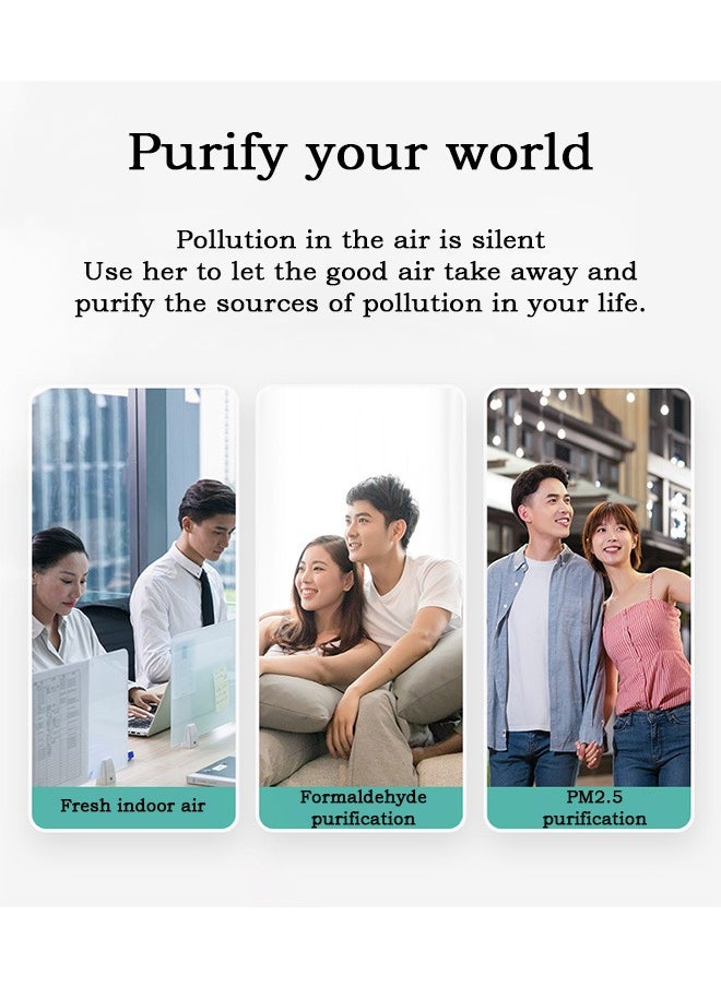 Negative Ion Air Purifierm, Rechargeable Personal Air Purifier Necklace, Air Ionizers (Black)