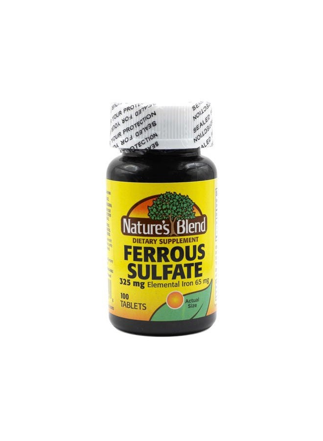 Nature's Blend Iron Ferrous Sulfate 325mg BPK, Assorted, tablets, 100 Count - Image 1