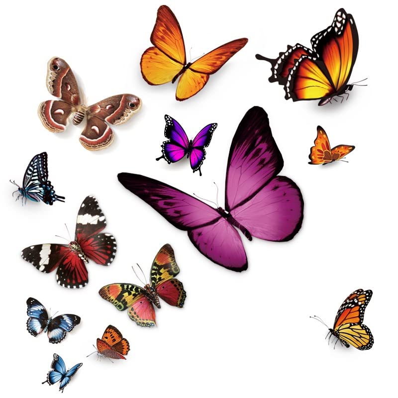 Fsforcar Butterfly Vinyl Car Stickers, Butterflies Insect Scratch Cover Waterproof Bumper Decals for Automotive, Motorcycle, Helmet, Luggage, Window, Wall, Home Decor, Easter (Type A) - Image 1