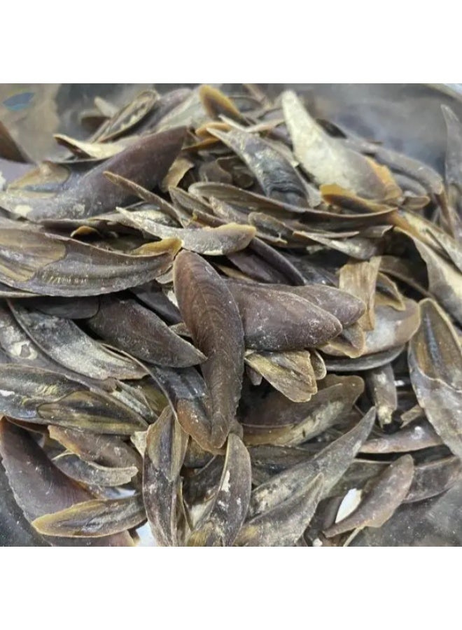 Natural Operculum Shell (Dollar Shell) for Incense & Bakhoor Making - Image 3