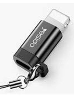 Micro to Lightning Connector Adapter